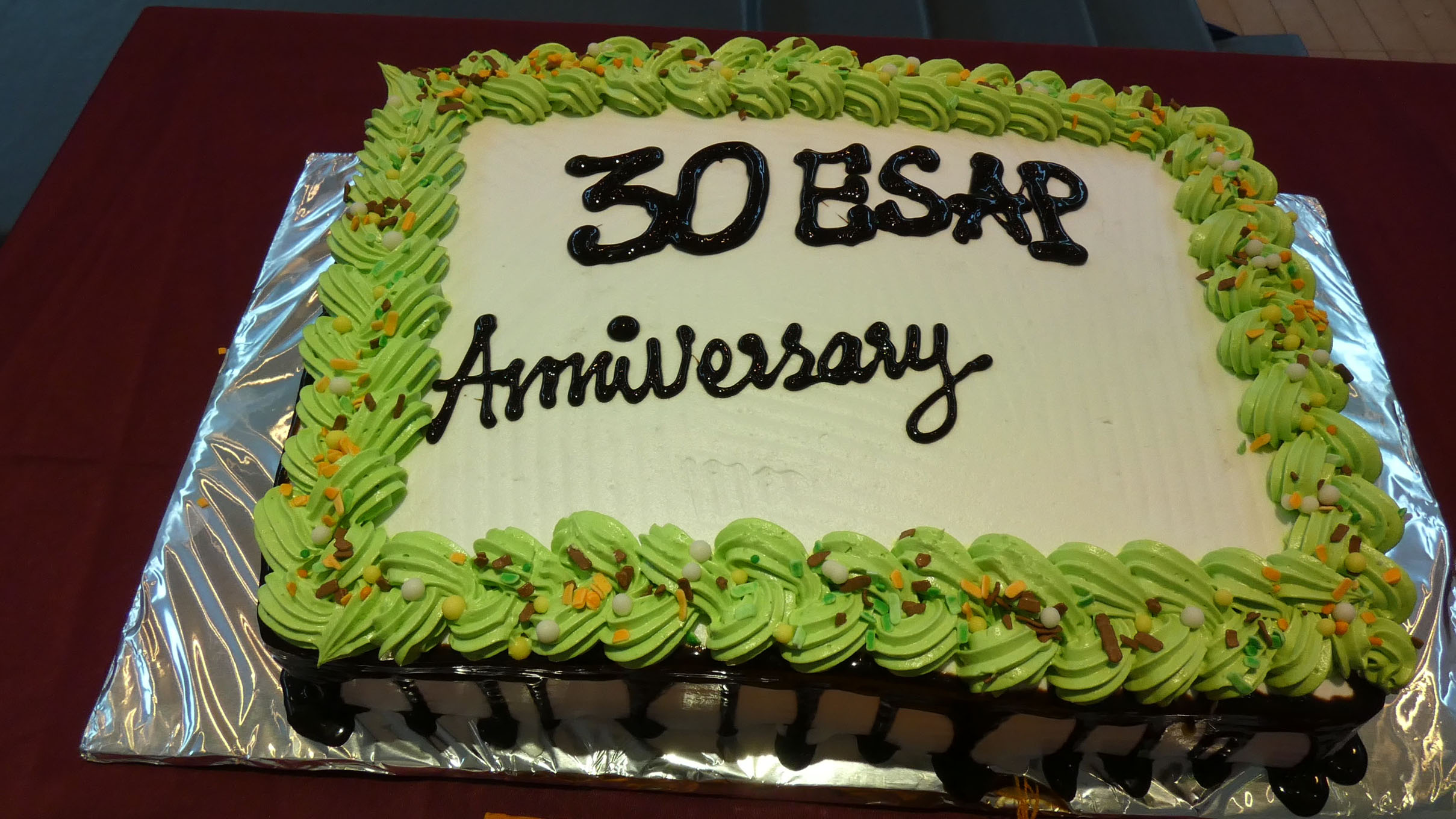 The 30th ESAP Annual Conference